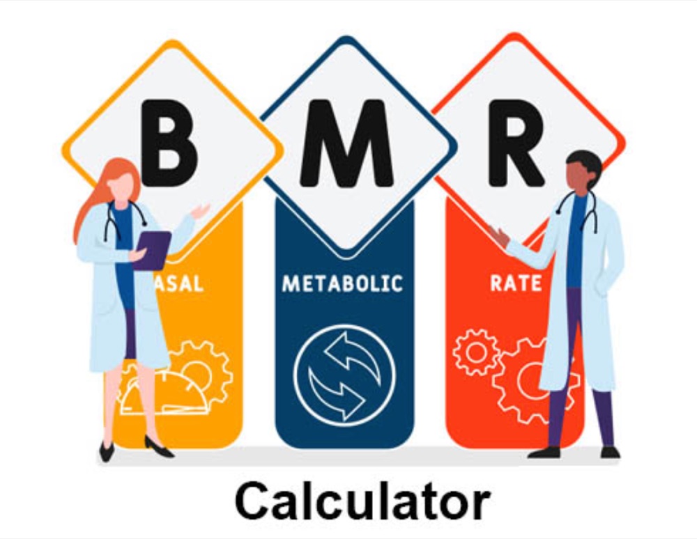 BMR Calculator